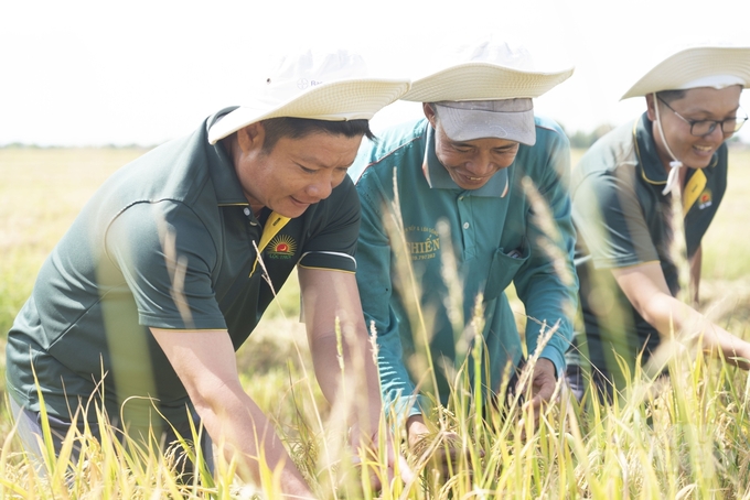 Chi hội nông dân trồng lúa chất lượng cao ấp Tân Huệ  được thành lập với 19 hội viên, diện tích 70ha. Ảnh: Lê Hoàng Vũ.