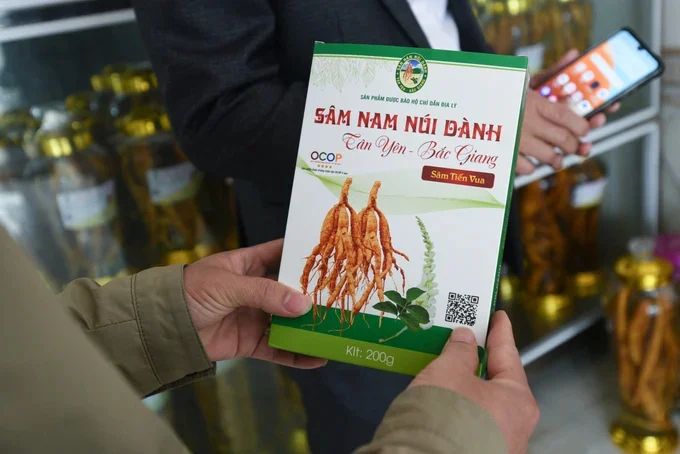 4-star OCOP product of Bac Giang province and produced and consumed by Cooperative - Mount Danh Ginseng. Photo: Tung Dinh.