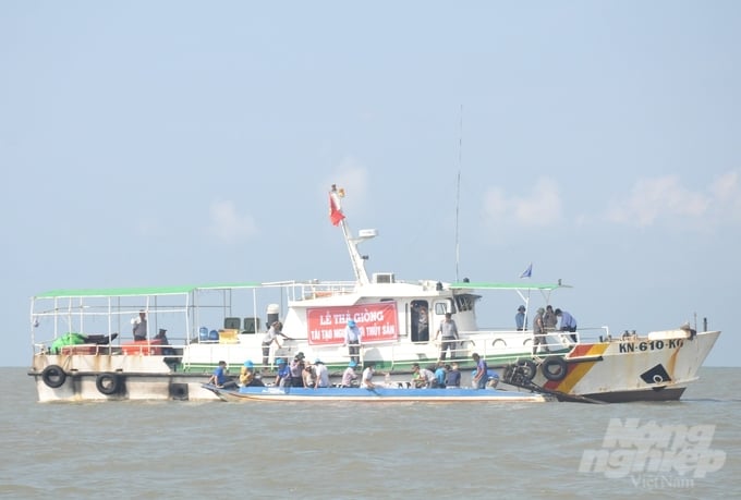 Kien Giang province's Sub-Department of Fisheries, in collaboration with the Kien Giang Fishery Association, organized a ceremony to release seeds for the regeneration of fisheries resources in commemoration of the 65th anniversary of Vietnam's Fisheries Day. Photo: Trung Chanh.