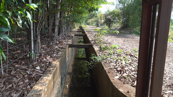 Tuyến kênh giúp 'giải khát' cho hơn 200 ha lúa và cây trồng trong vùng dự án. Ảnh: BD.