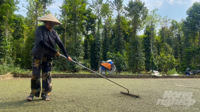 Bình Phước là tỉnh miền núi, biên giới của vùng Đông Nam bộ, với thế mạnh đất nông nghiệp chiếm trên 64% diện tích toàn tỉnh. Ảnh: Trần Trung.