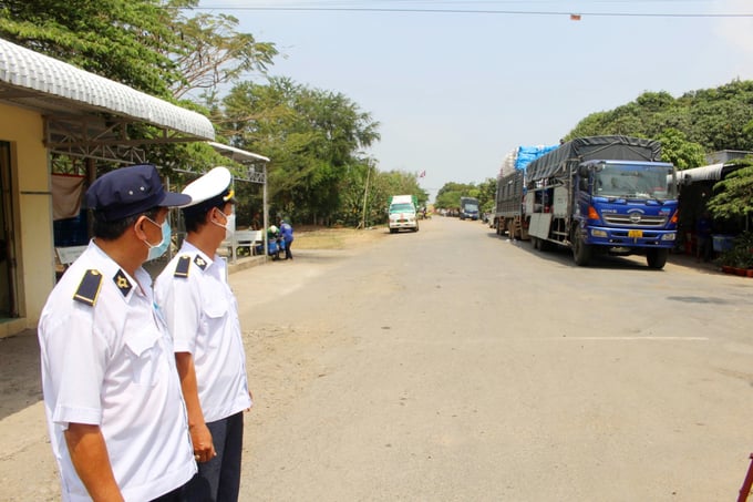 Local authorities maintain constant surveillance and inspection of vehicles traveling through the Dinh Ba border gate, with a focus on the transportation of livestock and poultry to prevent smuggling activities from Cambodia into Dong Thap province. Photo: Le Hoang Vu.