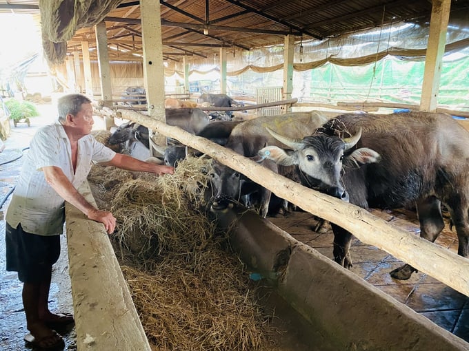 According to Mr. Phan Tan, local authorities are implementing strict measures to control the influx of livestock and poultry into Dong Thap province. Photo: Le Hoang Vu.