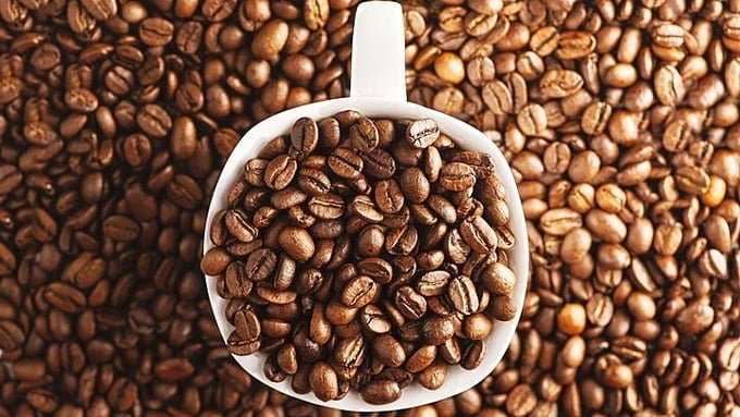 Update on the latest domestic and world coffee prices on 04/02/2024