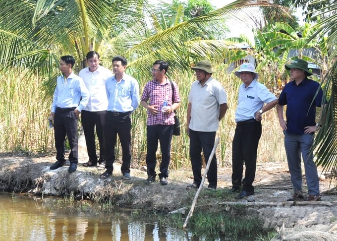 Deputy Minister Tran Thanh Nam (third from the right) surveying the Thanh An Shrimp Rice Crab Cooperative, which has been proposed by Kien Giang province to participate in the Project for one milion hectares of high-quality rice. Photo: Trung Chanh.