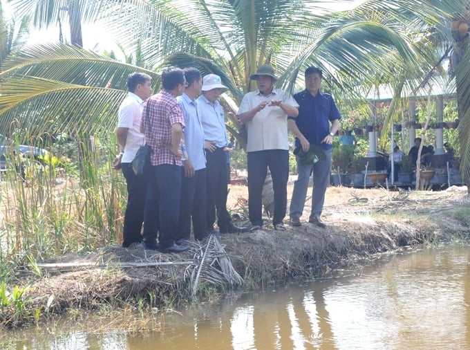 Deputy Minister of Agriculture and Rural Development Tran Thanh Nam (second from right) surveying agricultural cooperatives in Kien Giang province selected to participate in the Project for one milion hectares of high-quality rice. Photo: Trung Chanh.
