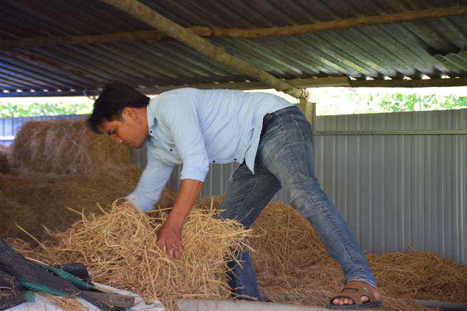 Người dân tận dụng rơm rạ làm thức ăn cho gia súc trong mùa khô. Ảnh: PC.