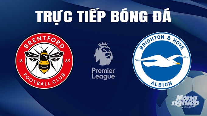 Trực tiếp bóng đá Ngoại hạng Anh giữa Brentford vs Brighton ngày 4/4/2024