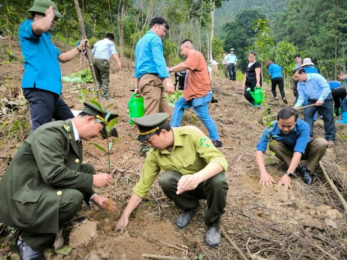 Cán bộ Chi cục Kiểm lâm tỉnh Thái Nguyên cùng các đơn vị tham gia trồng cây tại huyện Định Hoá. Ảnh: Phạm Hiếu.