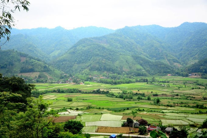 Năm 2024, huyện Võ Nhai, tỉnh Thái Nguyên phấn đấu trồng trên 500 ha rừng các loại, đạt tỷ lệ che phủ rừng trên 70%. Ảnh: Phạm Hiếu.
