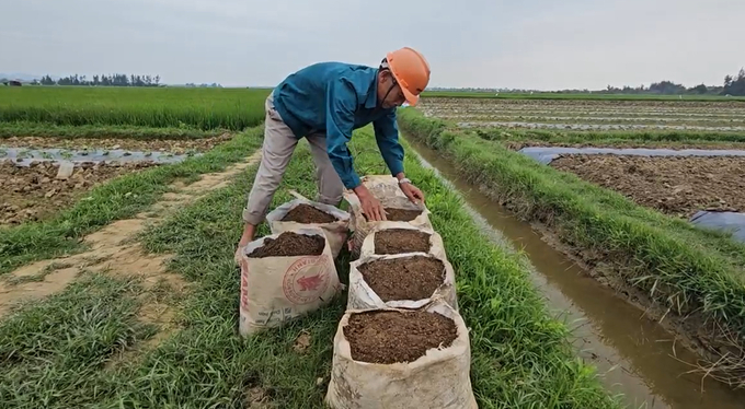 Nông dân sử dụng phân chuồng ủ hoai để bón cho ruộng dưa. Ảnh: T. Đức.