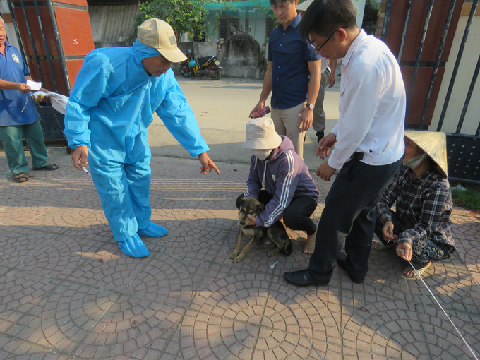 Cán bộ thú y thực hiện tiêm phòng bệnh dại trên đàn chó tại thị xã Ba Đồn. Ảnh: T. Đức.