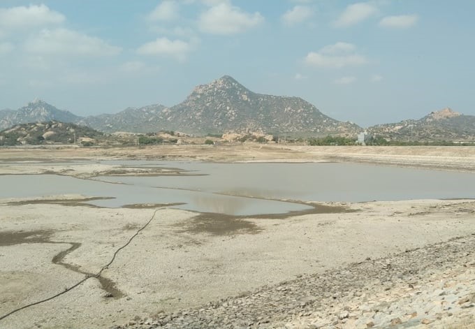 CK 7 Reservoir in Thuan Nam district has run out of water. Photo: PC.