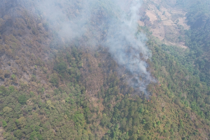 Toàn bộ khu vực xảy ra cháy là rừng tự nhiên.