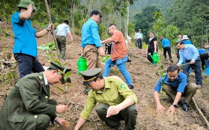 Officials of Thai Nguyen Provincial Forest Protection Department and units are participating in tree planting in the Dinh Hoa district. Photo: Pham Hieu.