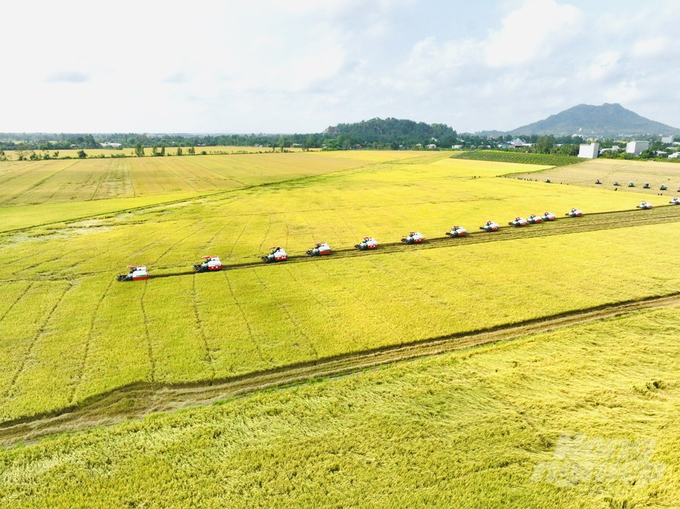 Đề án 'Phát triển bền vững 1 triệu ha chuyên canh lúa chất lượng cao, phát thải thấp gắn với tăng trưởng xanh vùng ĐBSCL' được Thủ tướng Chính phủ phê duyệt là cơ hội cho các tỉnh ĐBSCL phát triển lúa gạo theo xu hướng bền vững gắn với tăng trưởng xanh. Ảnh: Lê Hoàng Vũ.
