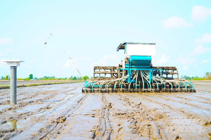 Cánh đồng lúa giảm phát thải 50ha, canh tác theo quy trình của Đề án 1 triệu ha lúa chất lượng cao chính thức được gieo trồng tại TP Cần Thơ. Ảnh: Kim Anh.