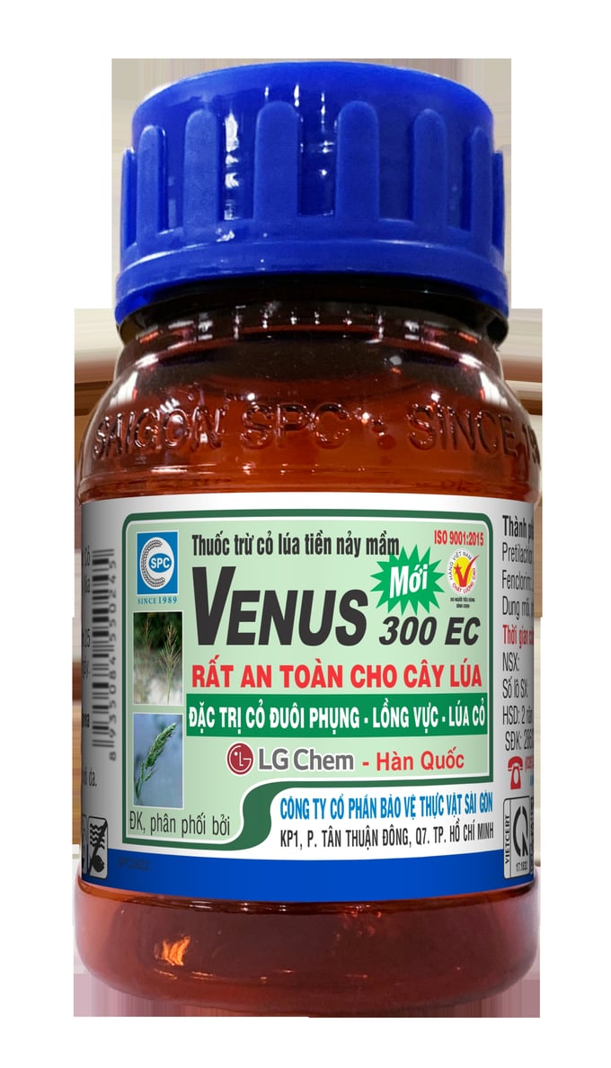 Thuốc trừ cỏ Venus 300EC sử dụng hiệu quả cho ruộng lúa vụ hè thu 2024.