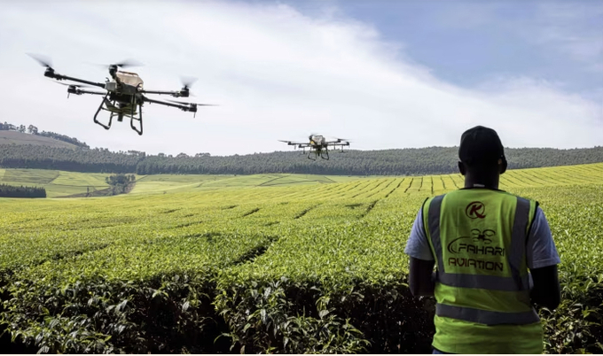  Unmanned aerial vehicles spread fertiliser at Kipkebe Tea Estate in Kenya in 2022. Since the 1960s, new seed varieties and improved access to fertilisers have helped transform agricultural production across the world. Photo: Patrick Meinhardt/AFP/Getty Images