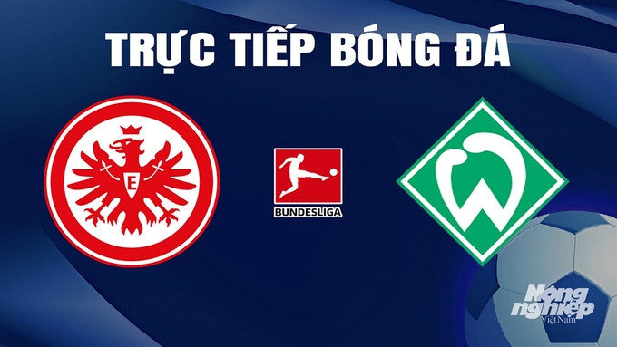 Trực tiếp bóng đá Bundesliga 2023/24 giữa Eintracht Frankfurt vs Werder Bremen ngày 6/4/2024