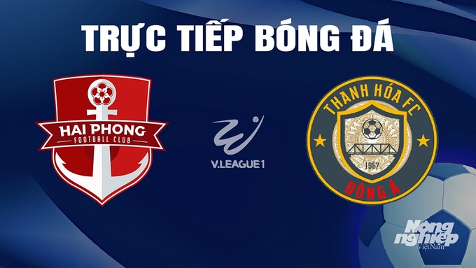 Trực tiếp bóng đá V-League 2023/24 giữa Hải Phòng vs Thanh Hóa hôm nay 5/4/2024