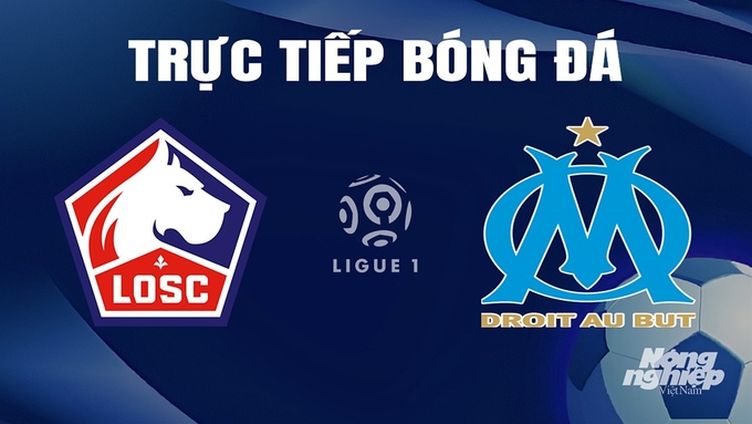 Trực tiếp bóng đá Ligue 1 (VĐQG Pháp) 2023/24 giữa Lille vs Marseille ngày 6/4/2024