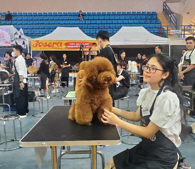 Nhiều chủ nhân 'cún cưng' thích thú khi tham dự Vietnam Challenge Dog Show 2024. Ảnh: Đinh Mười.