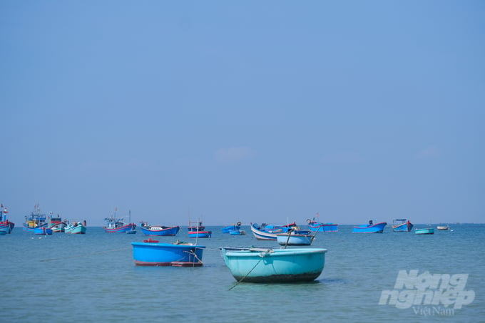 Sustainable mariculture cannot be established with fragmented, makeshift, and spontaneous infrastructure. Conversely, it requires a comprehensive and long-term roadmap. Photo: Kien Trung.