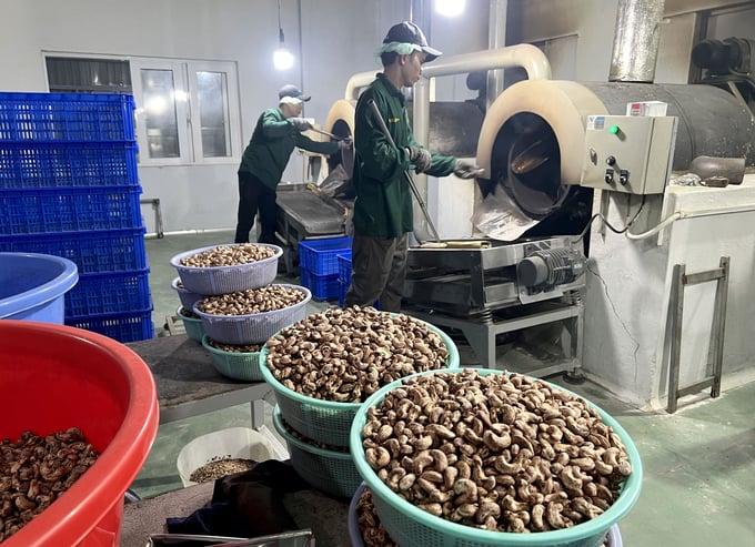 Production of roasted cashew nuts at a factory. Photo: Thanh Son.