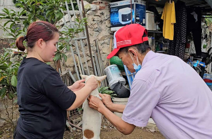 Ông Đào Bá Liệu, 64 tuổi, thú y viên phường Việt Hưng cùng người dân tiêm vacxin phòng dại cho đàn chó. Ảnh: Cường Vũ