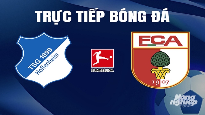 Trực tiếp bóng đá Bundesliga 2023/24 giữa Hoffenheim vs Augsburg hôm nay 7/4/2024