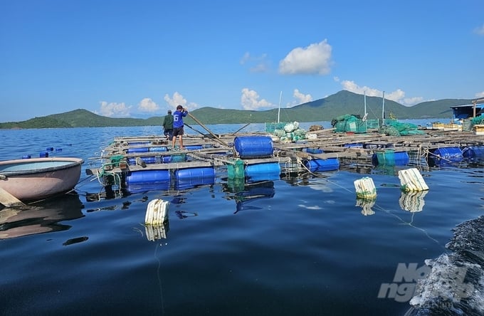 Phu Yen aims to re-organize its to promote sustainable mariculture development. Photo: Kim So.
