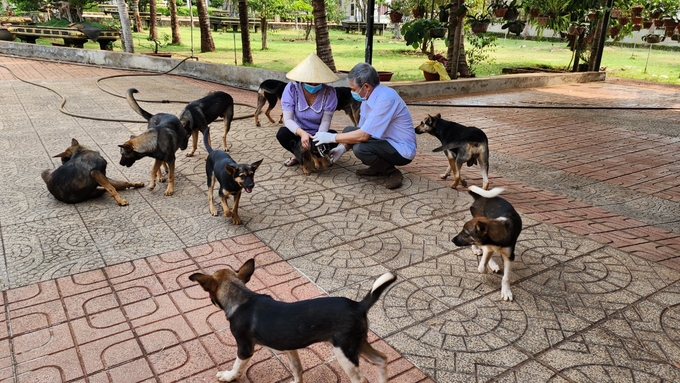 Huyện Bù Gia Mập chủ động tiêm vacxin phòng, chống bệnh dại trên đàn vật nuôi. Ảnh: Trần Trung.