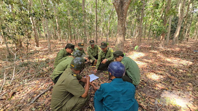BQL rừng phòng hộ hàng tháng phối hợp với các cơ quan chức năng tổ chức tuần tra, bảo vệ rừng. Ảnh: Minh Sáng.