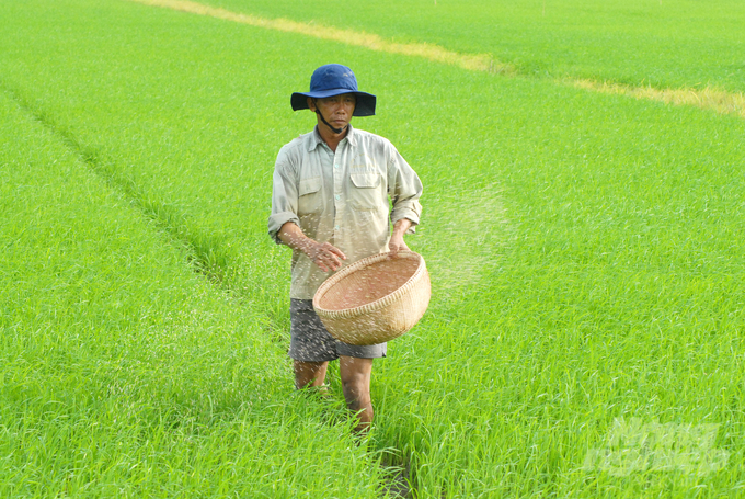 Phân bón Phú Mỹ đã góp phần quan trọng vào việc nâng cao năng suất và chất lượng sản phẩm nông nghiệp tại Trà Vinh. Ảnh: Lê Hoàng Vũ.