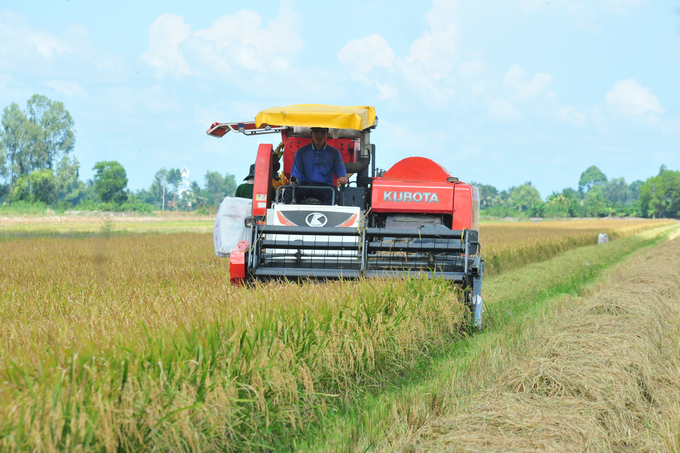 Đồng Tháp đăng ký tham gia Đề án 1 triệu ha lúa với diện tích canh tác vùng chuyên canh lúa chất lượng cao toàn tỉnh đến năm 2025 là 70.000ha và đến năm 2030 là 163.000ha. Ảnh: Lê Hoàng Vũ.