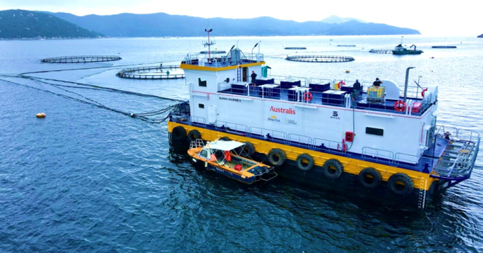Xà lan phun thức ăn tự động công suất 250 tấn được Australis hạ thủy chiều 25/4 tại vịnh Vân Phong, Khánh Hòa. Ảnh: Australis.