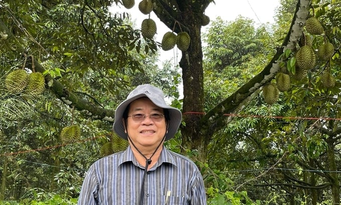 Mr. Dang Phuc Nguyen believes that frozen durian and fresh coconut will help the fruit and vegetable industry reach the USD 6 billion mark.