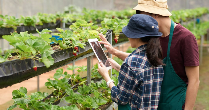 Quá trình chuyển đổi số gắn liền với các hiệp định thương mại tự do và hiệp định thương mại kỹ thuật số mở rộng cũng như ảnh hưởng tới các hoạt động xuất nhập khẩu nông lâm thủy sản. Ảnh: TL.