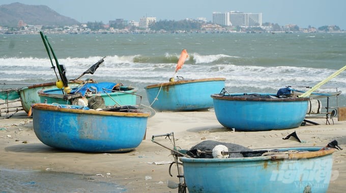 Ba Ria-Vung Tau province still has approximately 500 '3 No' fishing vessels that have not been issued temporary numbers for management. Photo: Le Binh.