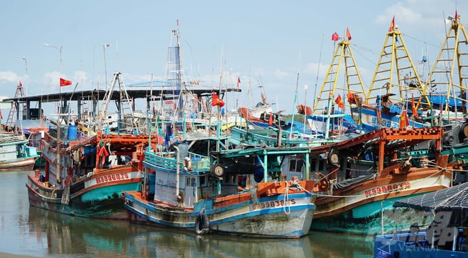 The total number of fishing vessels in the province is 4,484 ships, including 2,734 ships over 15 meters long operating in offshore areas. Of these, the rate of registered fishing vessels reached approximately 86%. Photo: Le Binh.