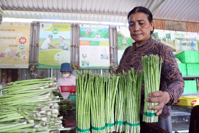 Phát triển măng tây xanh, loại cây trồng chủ lực giúp bà con nông dân phát triển kinh tế, đây là một trong những hoạt động chung sức xây dựng nông thôn mới. Ảnh: PC.