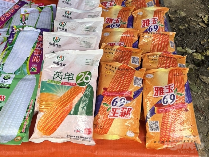 Ngô giống không rõ nguồn gốc được bán nhiều tại các chợ phiên vùng cao ở tỉnh Hà Giang. Ảnh: HV.