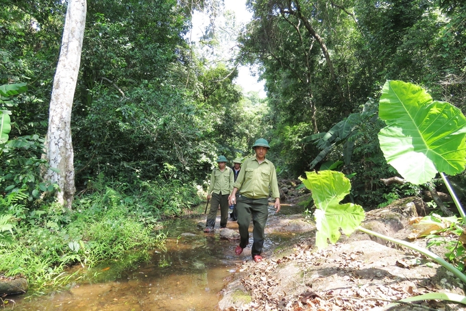 Lực lượng bảo vệ rừng Quảng Ninh thực hiện tuần rừng sát vùng biên giới. Ảnh: T. Đức.