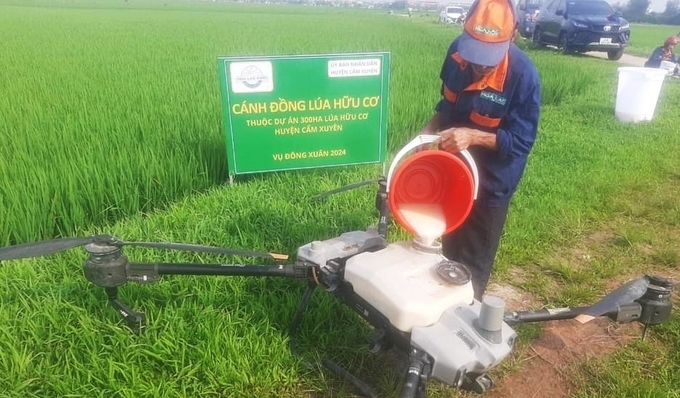 Thiết bị bay không người lái được sử dụng để phun hỗn hợp dung dịch dinh dưỡng cho lúa hữu cơ. Ảnh: Nguyễn Hoàn.