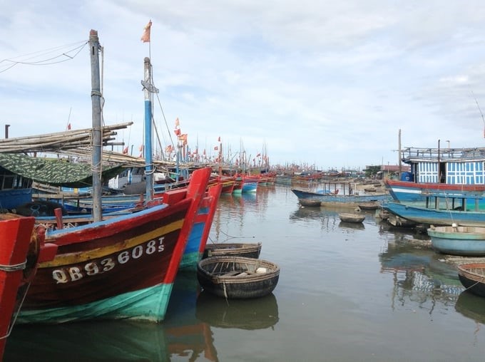 MARD also requests the Department of Fisheries to direct, guide, and inspect localities in implementing the management of fishing vessels and fishing ports. Photo: Hong Tham.