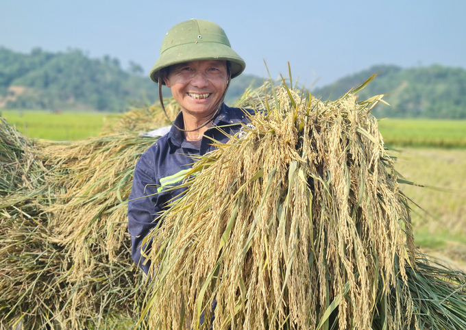 Đối mặt với nhiều khó khăn, thách thức nhưng ngành nông nghiệp Nghệ An vẫn đạt được nhiều kết quả tích cực trong thời gian qua. Ảnh: Việt Khánh.