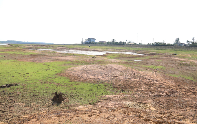 15 hồ chứa có dung tích lớn tại Đắk Lắk đã hết nước, ảnh hưởng đến cây trồng của người dân. Ảnh: Quang Yên.