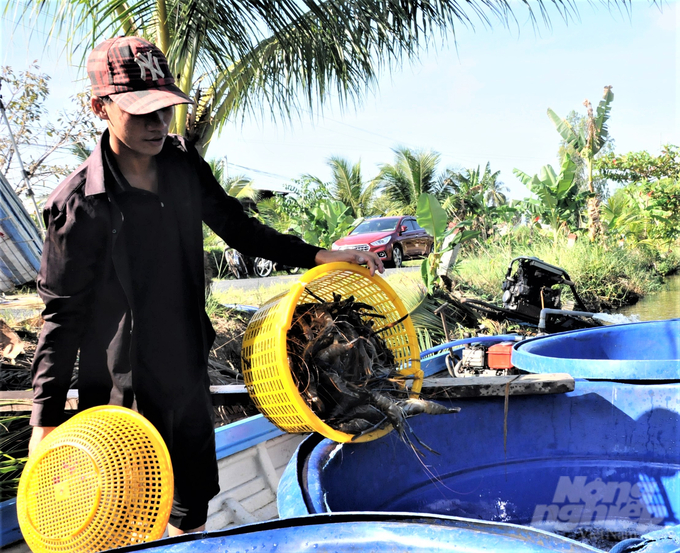 Cùng với phát triển kinh tế tập thể, Hội Nông dân tỉnh Kiên Giang đã phối hợp với chính quyền địa phương hỗ trợ xây dựng được 14 nhãn hiệu tập thể cho các hợp tác xã, tổ hợp tác. Ảnh: Nguyễn Quý.