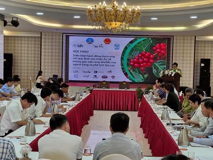 Workshop on Implementing Action to adapt to EU Deforestation-free Regulation (EUDR) for the coffee industry in Gia Lai province. Photo: Dang Lam.